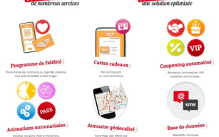 Image d'illustration de Créez votre Plateforme multi-commerces : CARTES DE FIDÉLITÉ - CARTES CADEAUX - PASS AVANTAGES 2/3 - Ouvrir en plein écran