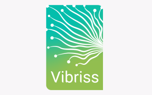 Image d'illustration de Vibriss - Plateforme de pilotage énergétique pour les collectivités 1/2 - Ouvrir en plein écran
