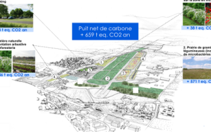 Image d'illustration de Soil . is - Valoriser vos fonciers pour la séquestration carbone 1/1 - Ouvrir en plein écran