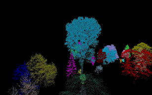 Image d'illustration de Cartographie par IA au service de la résilience climatique, issue de données Lidar et d'imagerie aérienne 4/9 - Ouvrir en plein écran