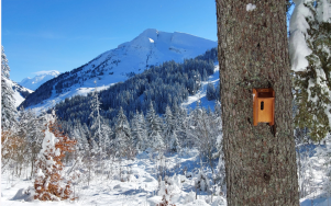 Suivi de fréquentation des sentiers et accompagnement de la transition en montagne
