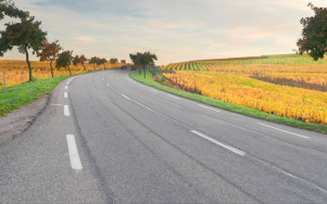 Audit du réseau routier de la Collectivité européenne d'Alsace