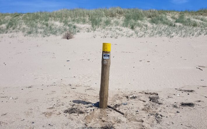 Le dispositif Alti’Plage se base sur une analyse comparative de photos prises par les citoyens, avec des finalités et des indicateurs différents, tels que ces poteaux plantés sur la plage - Crédit photo : Département de la Manche