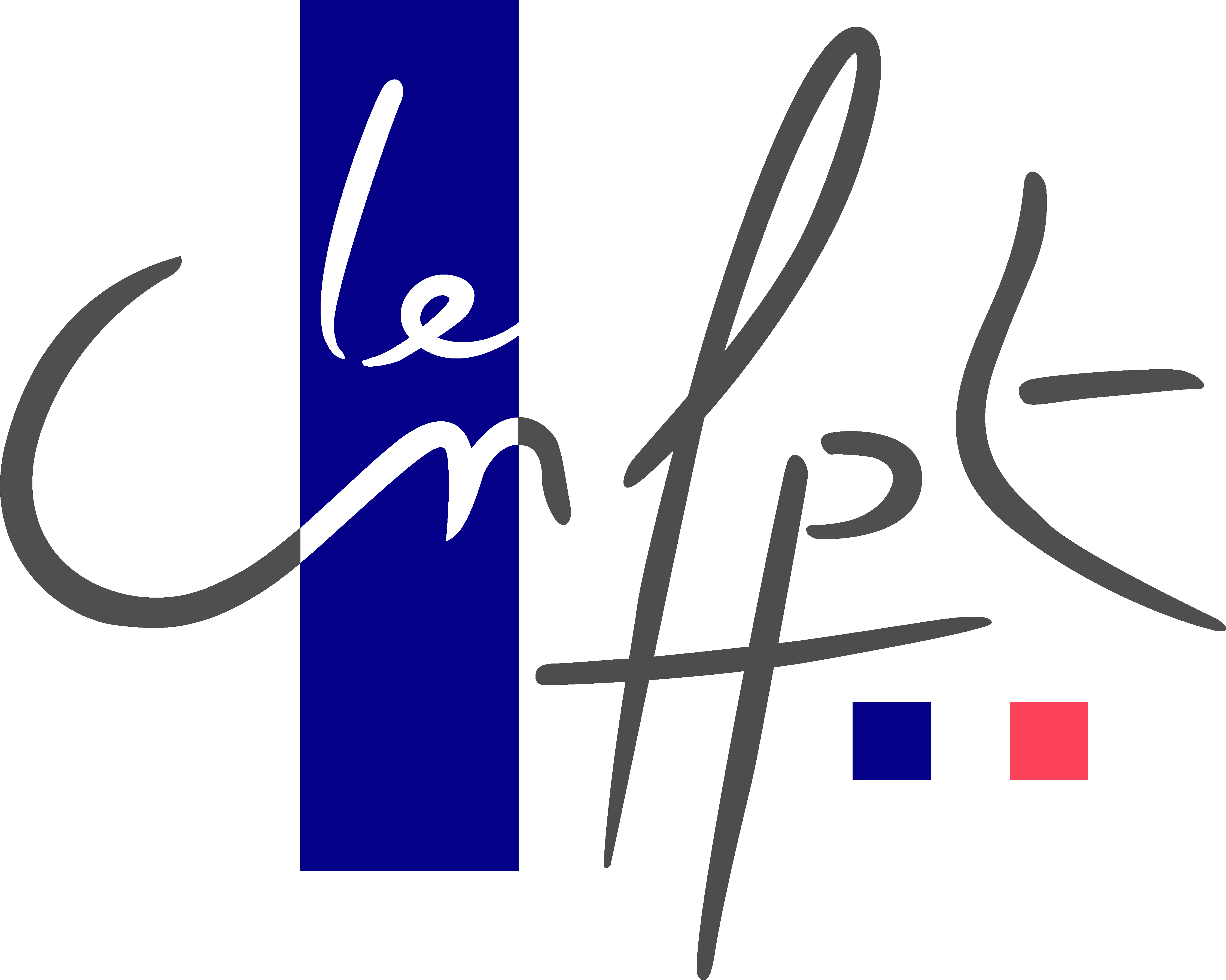 CNFPT (Centre national de la fonction publique territoriale)